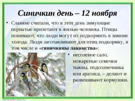 "СИНИЧКИН ДЕНЬ" "СИНИЧКИН ДЕНЬ".
